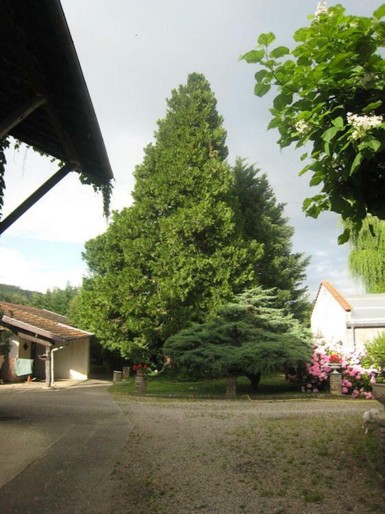 Villa Dufresne Beynost Exterior photo